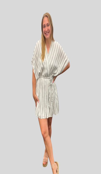 Saylor Striped Dress